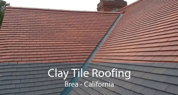 Clay Tile Roofing Brea - California