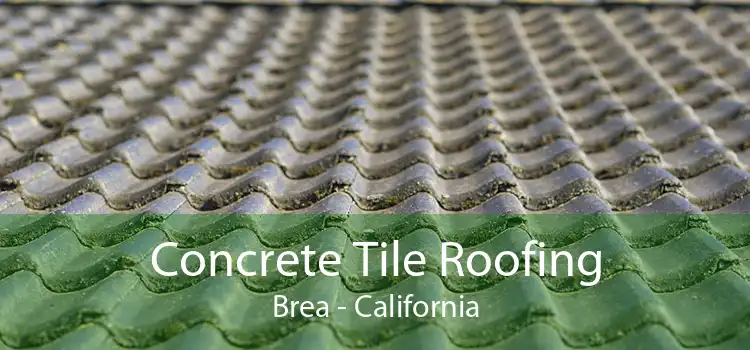 Concrete Tile Roofing Brea - California