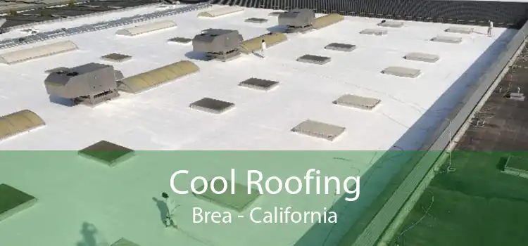 Cool Roofing Brea - California