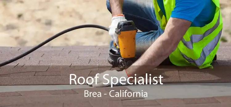 Roof Specialist Brea - California