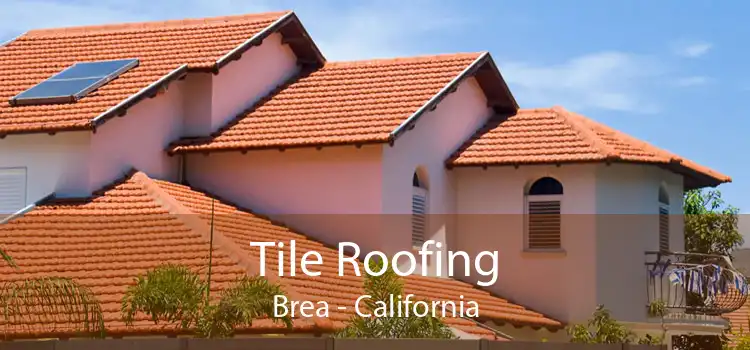 Tile Roofing Brea - California