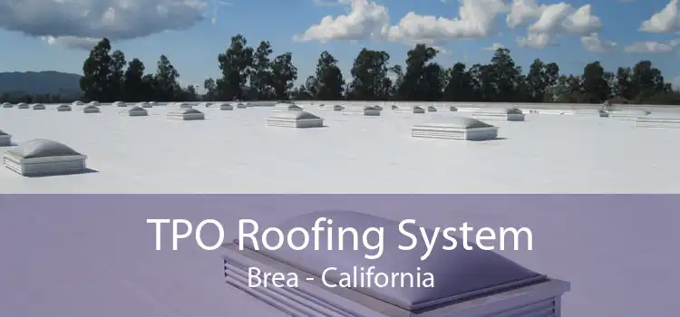 TPO Roofing System Brea - California